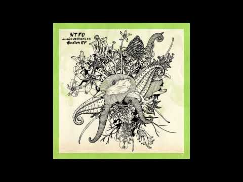 NTFO - Auction [ORG021]