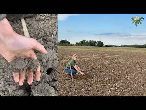 Feldexkursion 240: Herausfordernde Rapsaussaat 2023