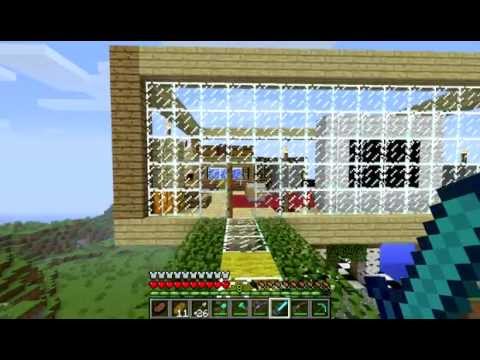 Minecraft house and backyard (survival)