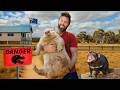 Private Tour of Australia's Craziest Zoo DEFAULT Thumbnail