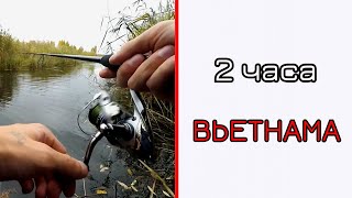 Когда заканчивается рыбалка на щуку в беларуси