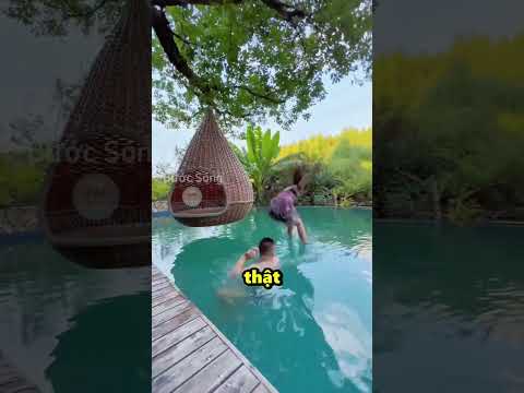 Chiếc Xích Đu Sống Ảo Thực Chất Là Cái Bẫy Hoàn Hảo