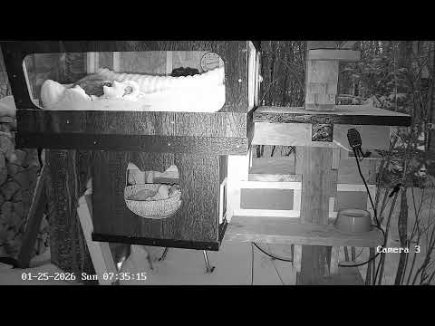 UNCC Camera 3 - Condo #2 Close Up