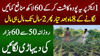 1 acre Farming and 64 lakhs Income From amazing Farming