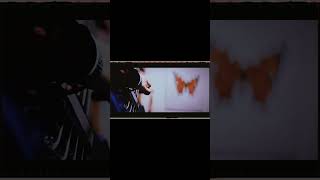 ヨルシカ LIVE TOUR 2025「盗作再演」盗作/創作セトリメドレー Guitar＆Basscover byフクレモ.  #盗作live  #キタニタツヤ【#盗作】【#ヨルシカ】【#盗作再演】