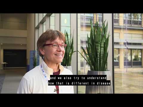 Kerstin Meyer - Human Cell Atlas: Transforming Biology and Healthcare