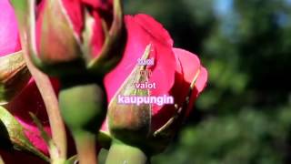 Tauski - Lupaan Olla Sun (Official Lyrics Video)