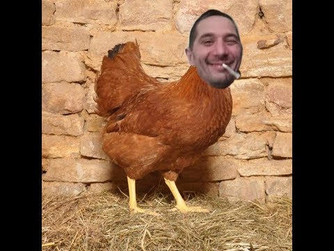 TRACKWASHER - la poule 23