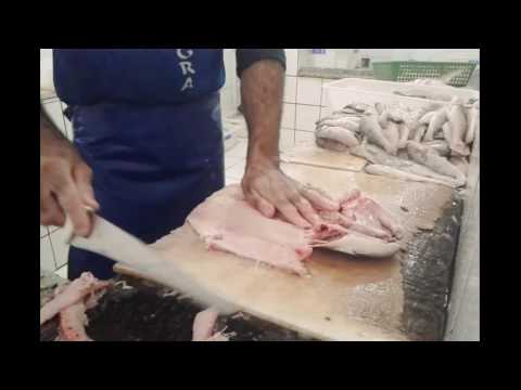 Como espalmar traira com o MESTRE!