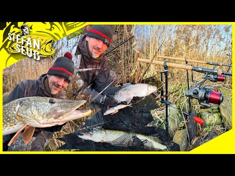 I want the METER HECHT