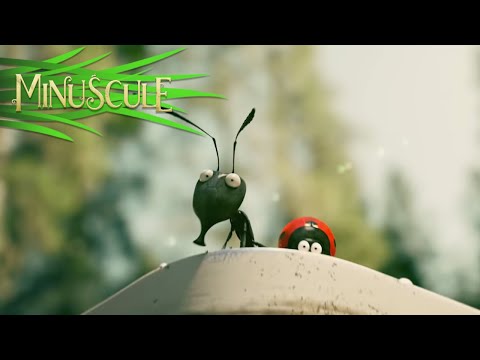 A Minuscule Adventure (2019) Trailer