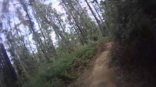 preview picture of video 'Buxton Australia -Team Wombat Mountainbike'