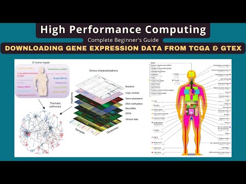 Download Gene Expression Data From TCGA and GTEx Using R