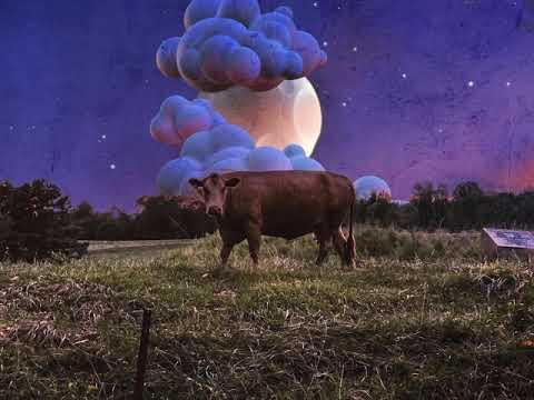 Waleska GA Cow hears the Beatles