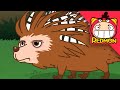 Porcupine | Animal Rescue Team | with alan | REDMON
