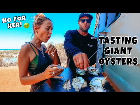 GIANT OYSTER CHALLENGE - Remote Living off the land, catching our own food!