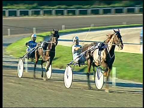 Trotto 08/11/2015 - 3° corsa