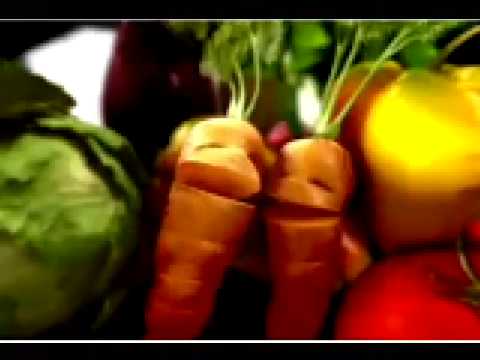 Mangajingle - Portfolio Seagulls Fly