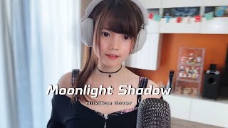 Download lagu Moonlight Shadow (Baccara disco version) | cover by Milki mp3