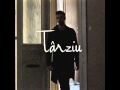 Liviu Teodorescu - Tarziu (teaser) 