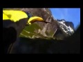 (WingSuit video) Above & Beyond Pres. OceanLab ...