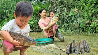 Harvesting catfish and carp to sell at the market | How to weave bamboo fence