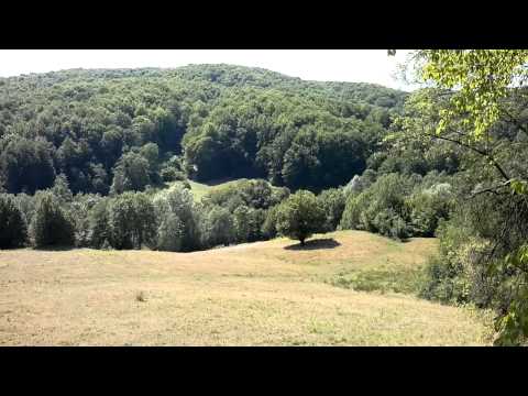 Observator de vanatoare in Valea Odailor, Cosminele, Prahova