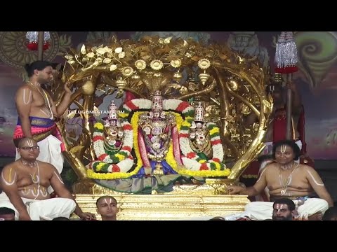 Tirumala Ratha Saptami 2024 Celebrations Kalpavruksha Vahanam