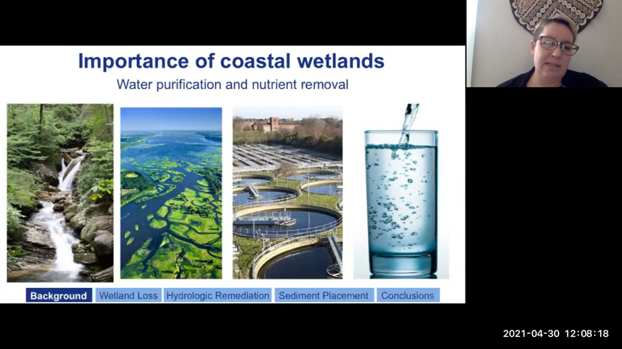 SoMAS - Threats of accelerated sea level rise to coastal wetlands & strategies to build resilience