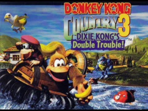 🔴 Um macaco chamado Rgo '-' - donkey kong country 3