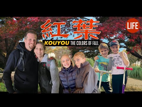 光友。日本的秋天的顏色 l | 日本的生活 第184集 (Kouyou: The Colors of Fall in Japan l  | Life in Japan Episode 184)