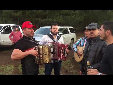 JOSÉ BARRAZA. Quisiera ser pajarillo