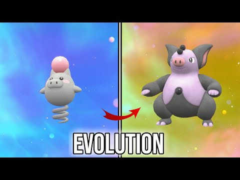 Grumpig Evolution