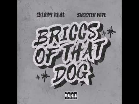 Skuddy Budd (feat. Shooter YaYe) — “Briccs Of That Dog”