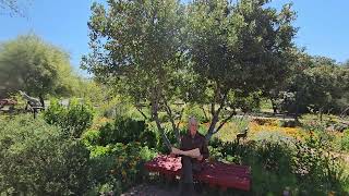 Episode 6: Unshakeable Joy