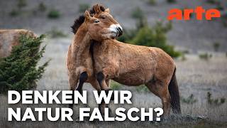 Ein Lebewesen unter anderen | Doku HD | ARTE