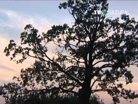 Mănăstirea Ghighiu -  vindecare pentru suflet şi trup