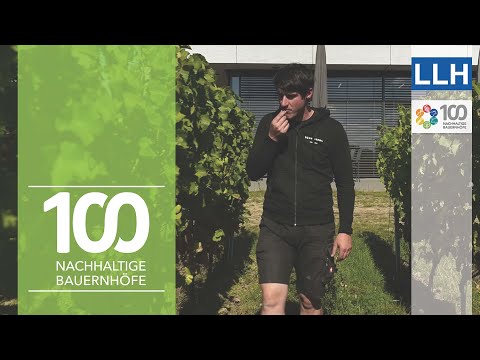 Wein mit System: Kreisläufe schließen und Ressourcen schonen | Projekt 100 nachhaltige Bauernhöfe