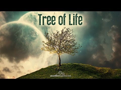 Audiomachine-Tree of Life: Full Album HQ