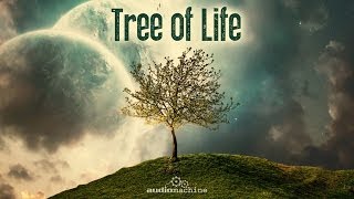 Audiomachine-Tree of Life: Full Album HQ