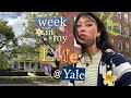 Uni Vlog Yale Productive Week Writing Essays Hanging W Friends