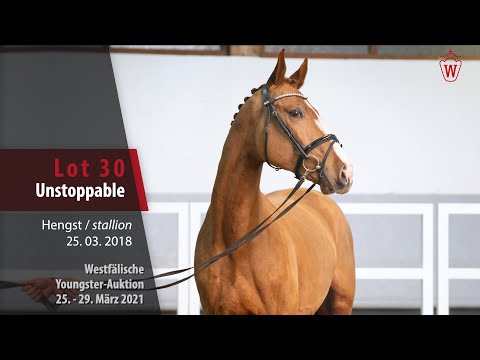 Westf. Youngster-Auktion Lot 30 Unstoppable Hengst v. Untouchable - Sandro