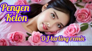 Download lagu DJ tarling remix pengen kelon cover suno ai cipt suka Wijaya mp3