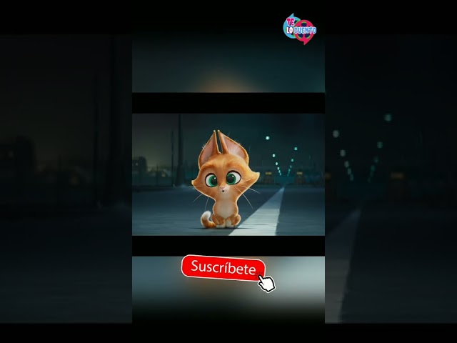 Vídeo relacionado con DC Comics League of SuperPets Collar de perro PB Wonder Woman, talla L, con licencia oficial de DC League of SuperPets PB | Collar de perro grande DC Wonder Woman estilo con anillo en D para