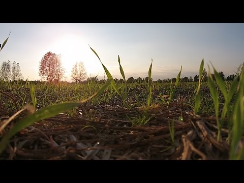 ARRIVA OTTOBRE | ITALY-CASTELLETTO TICINO DI CUGGIONO | DJI PHANTOM 2 V+ | 28-09-15 | #035 ✔
