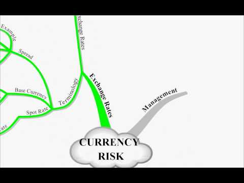 CIMA P3 Lecture 17 Currency Risk