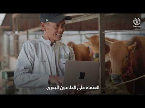 GPP-TAD: نموذج جديد للاستثمار في صحة الحيوان عالميًا