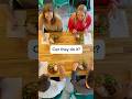 When we say serves 4, we mean your family leaves the table full. Revolutionary, we know. ￼
