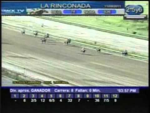 Domingo, 11 de Septiembre de 2011 - La Rinconada