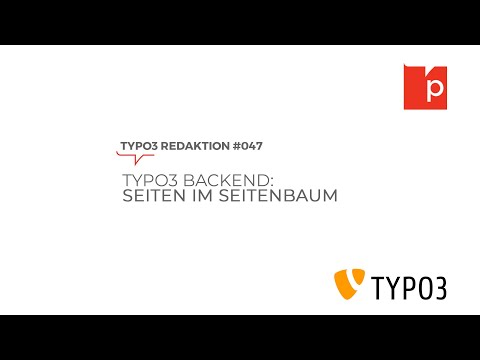 TYPO3 8.7 Seiten im Seitenbaum (Teil 1) #047